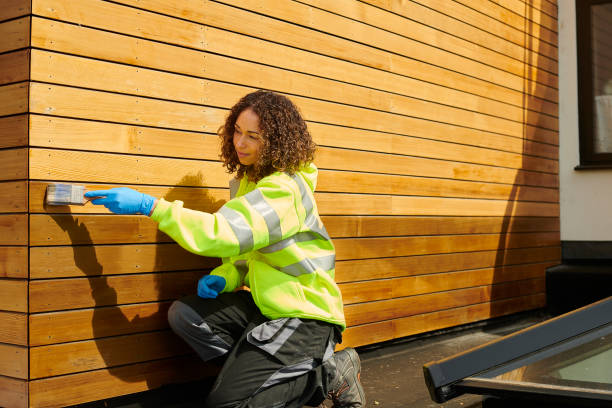Best Vinyl Siding Installation  in Stromsburg, NE